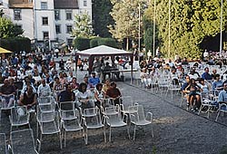 Bad Säckingen, 06.07.2003: Leichte Ausdünnung zu späterer Stunde...